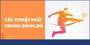 Các thuật ngữ cá độ bóng đá