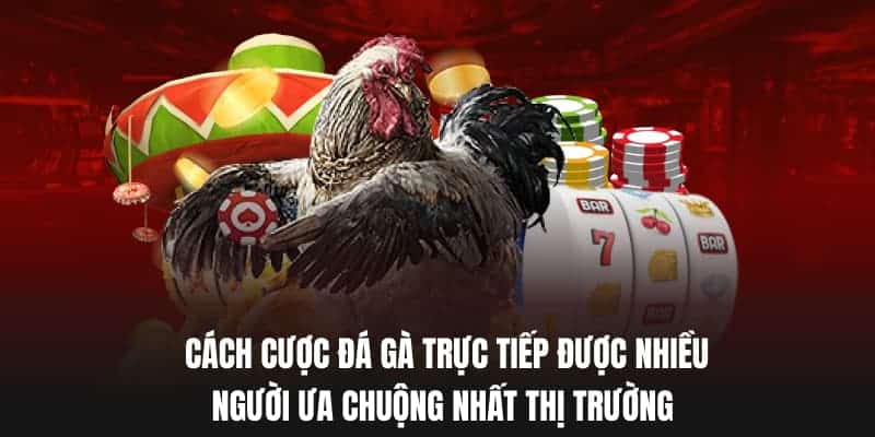 Cách cược đá gà trực tiếp được nhiều người ưa chuộng nhất thị trường