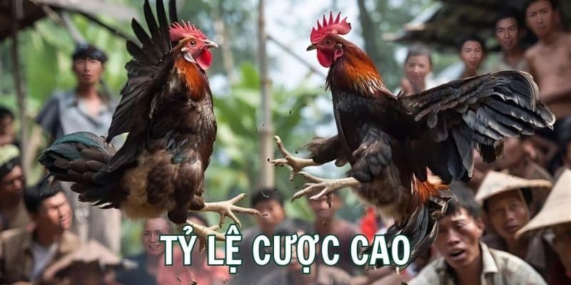 Sân chơi cung cấp đa dạng loại hình cược với tỷ lệ ăn thưởng cao