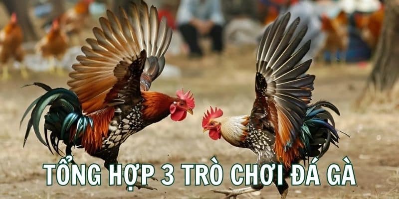 Thông tin tổng hợp về 3 trò chơi cá cược yêu thích tại sảnh game