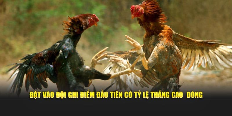 Đặt vào đội ghi điểm đầu tiên có tỷ lệ thắng cao