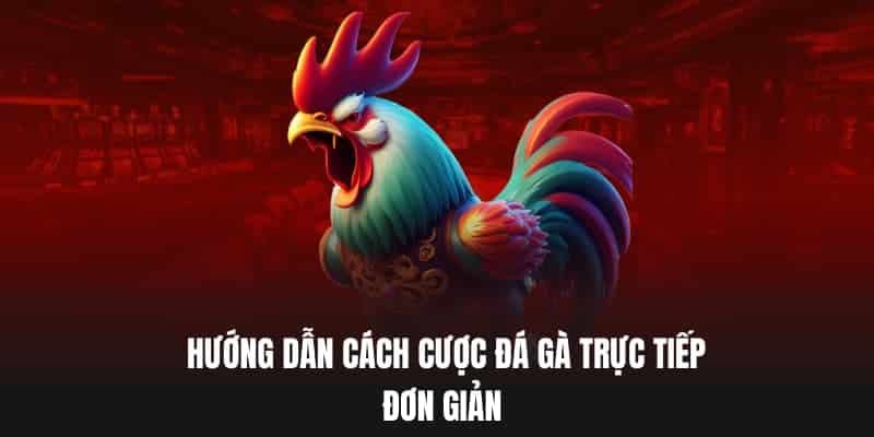 Hướng dẫn cách cược đá gà trực tiếp đơn giản