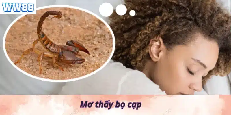 Mơ thấy bọ cạp